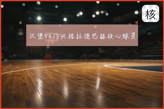 汉堡vs门兴格拉德巴赫核心球员